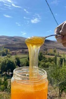 Ece Bal & Arıcılık